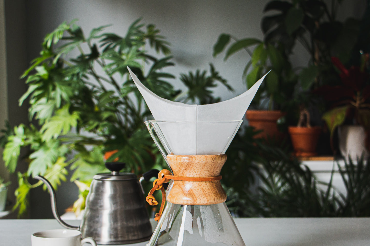 Chemex Filter Paper