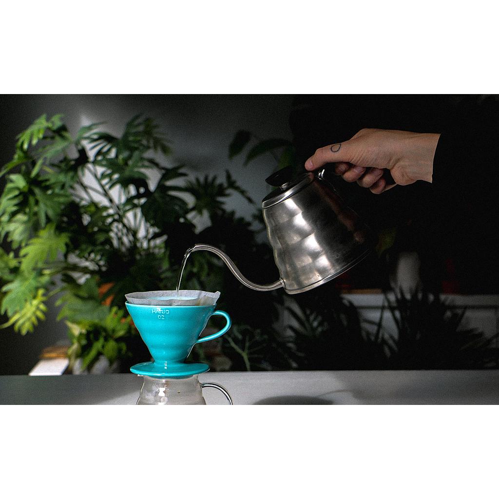 Hario Kettle Buono Silver
