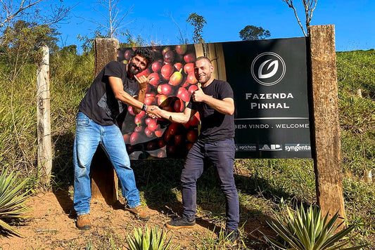 Vuoden 2025 FOB-hinnat ja vastuullisuus Kaffalla