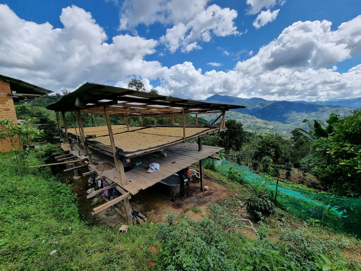 Fruity & Floral - Peru, Cajamarca, Caturra