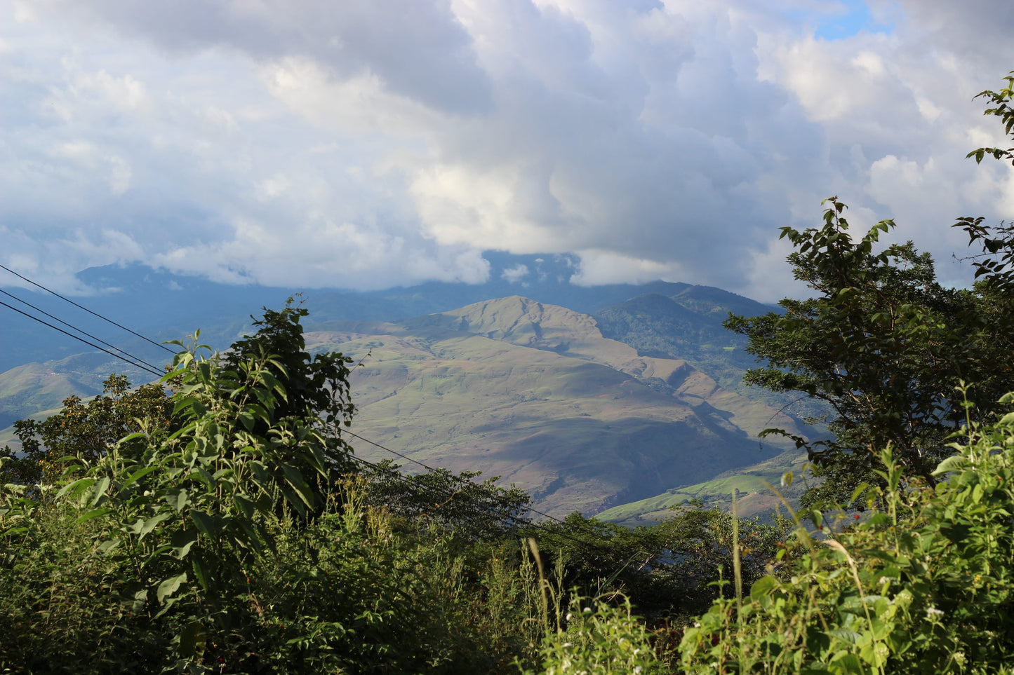 Sweet & Funky - Peru, San Ignacio
