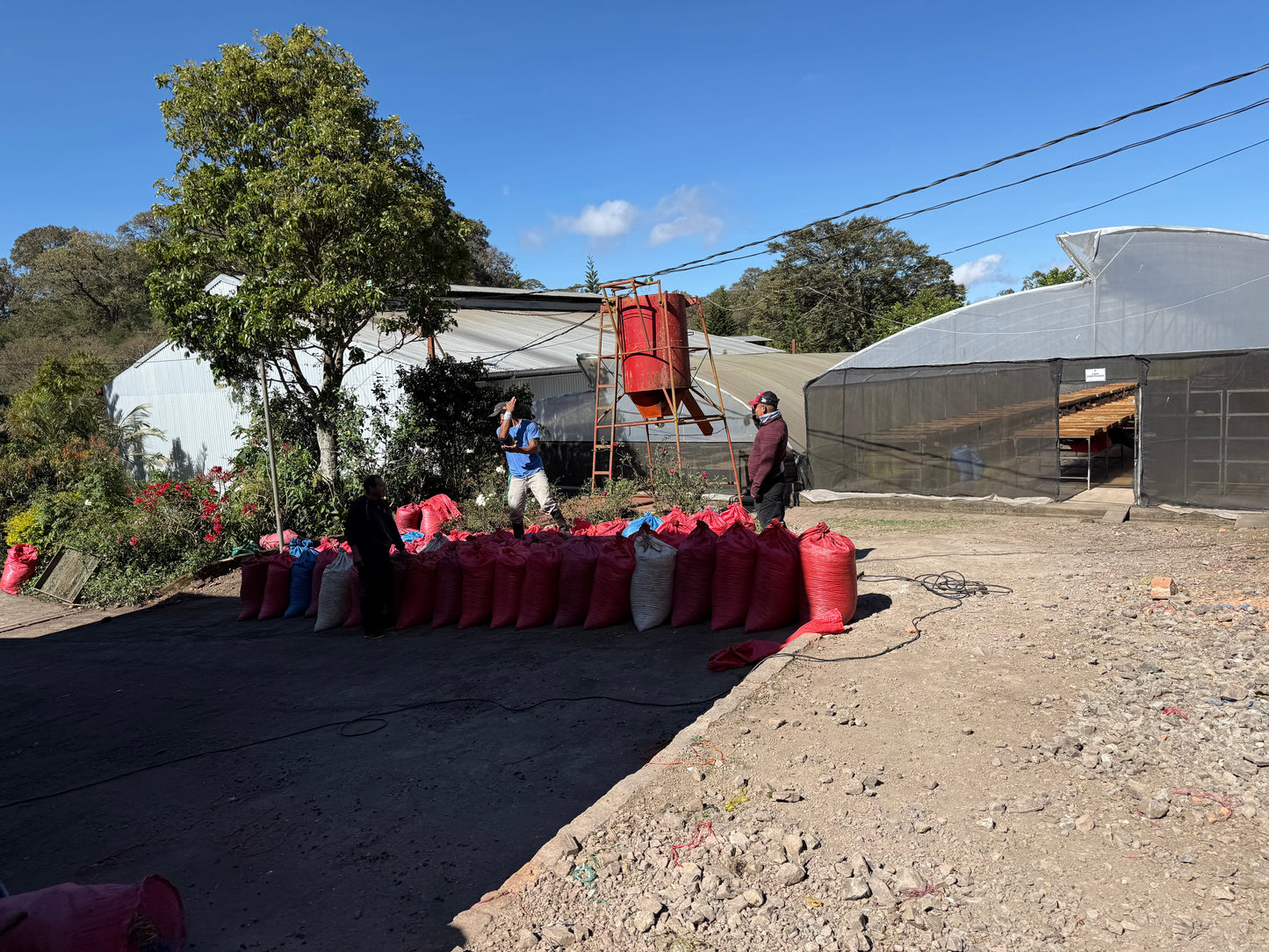 Fruity & Floral, Nicaragua - Los Papales