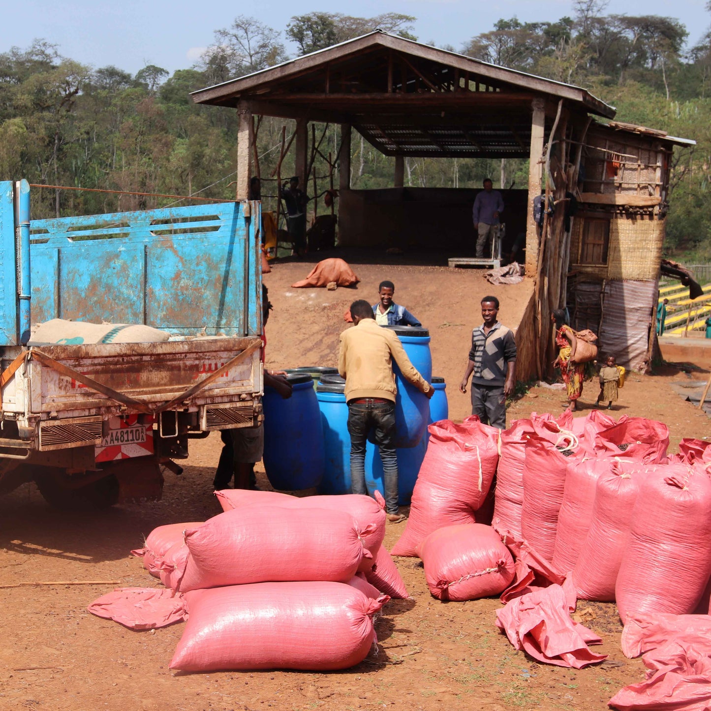 Fruity & Floral - Ethiopia Yirgacheffe Woreda