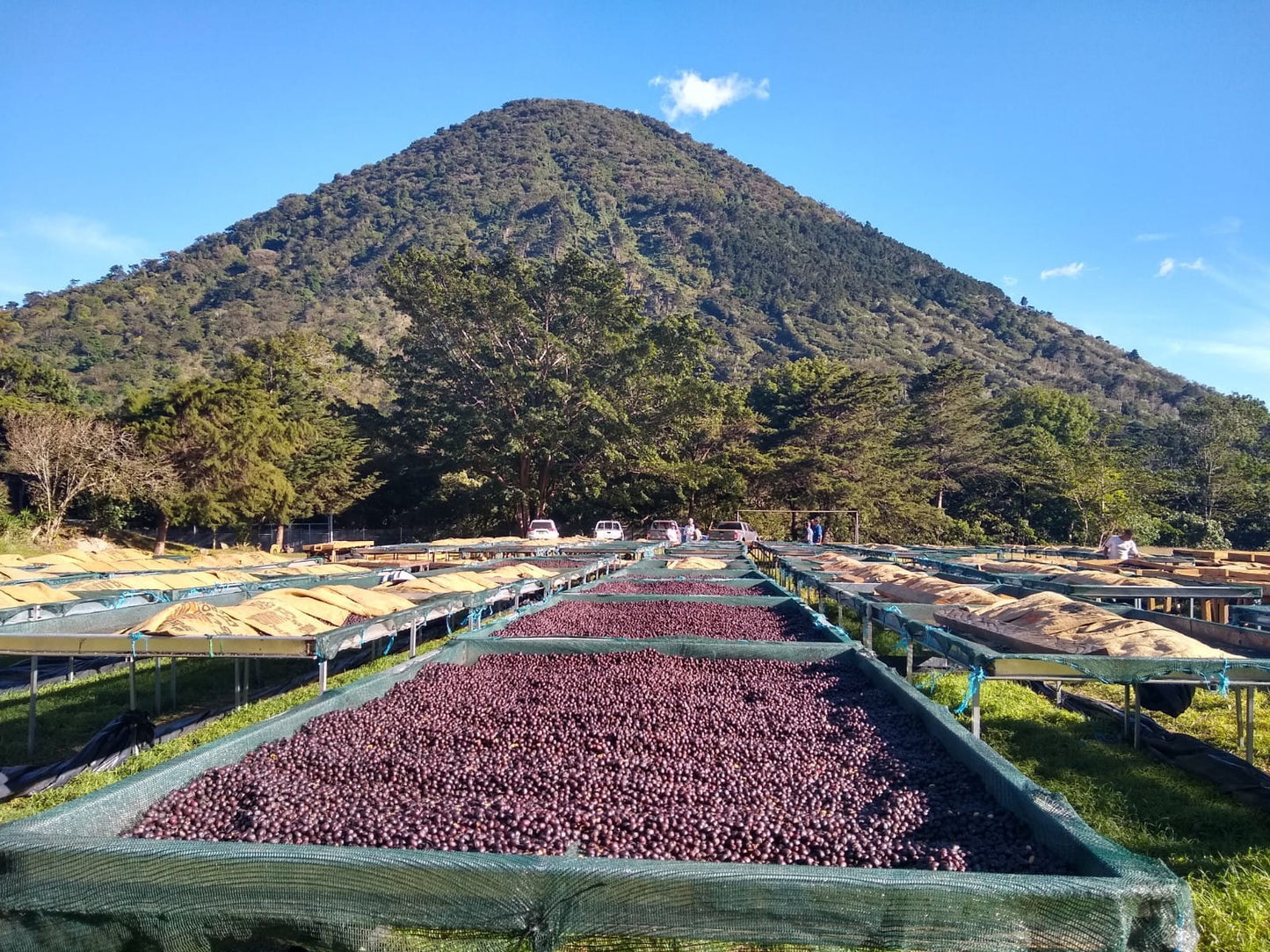 Sweet & Funky, El Salvador, Los Angeles