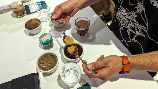 Coffee tasting (ENG) 18.02.2026