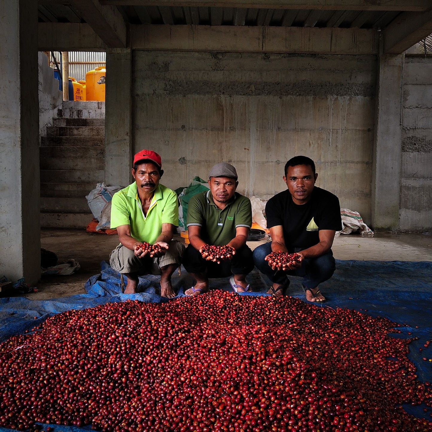 Sweet & Funky - Indonesia Tuang Coffee NEW