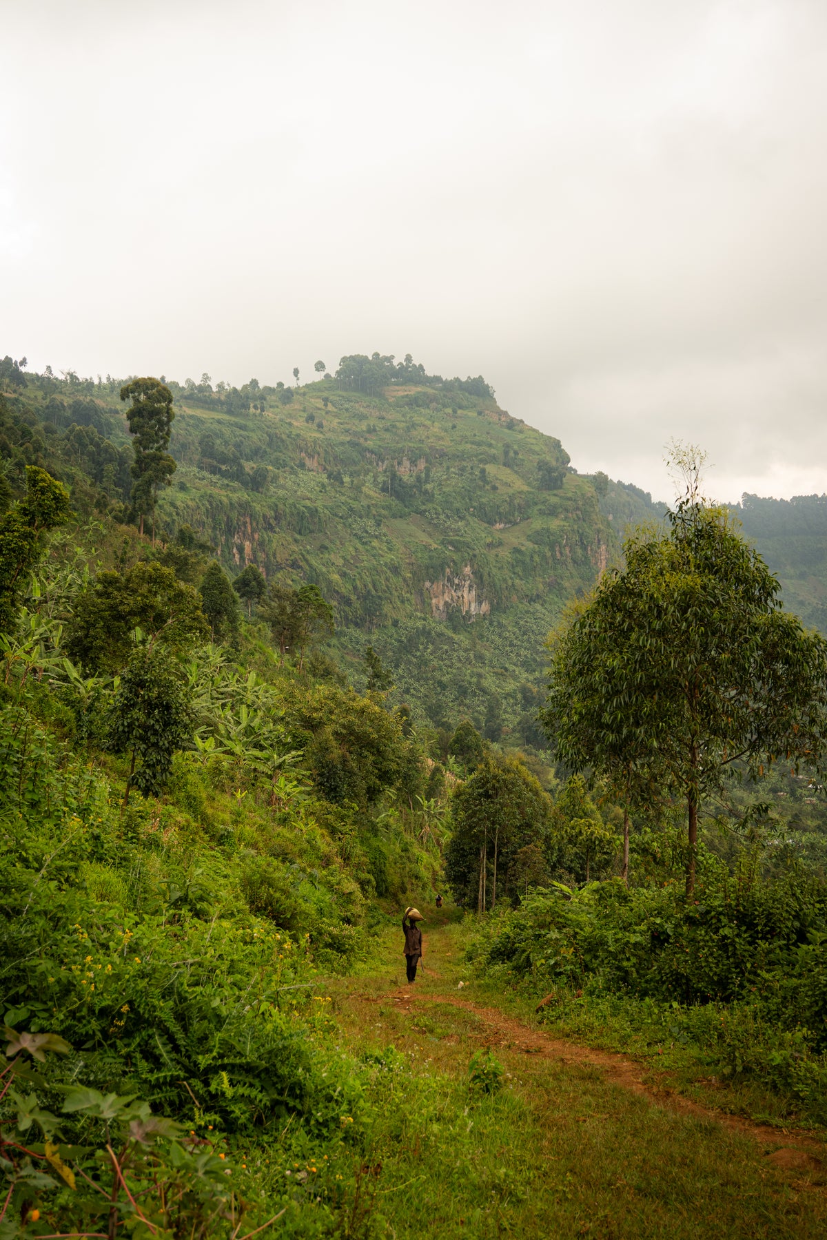 Fruity & Floral, Uganda, TGC - Miwu