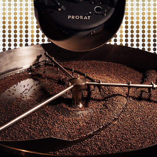 Roasting Workshop 25.9.