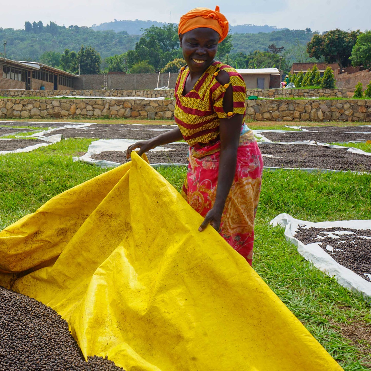 Sweet & Funky - Uganda, The Coffee Yard